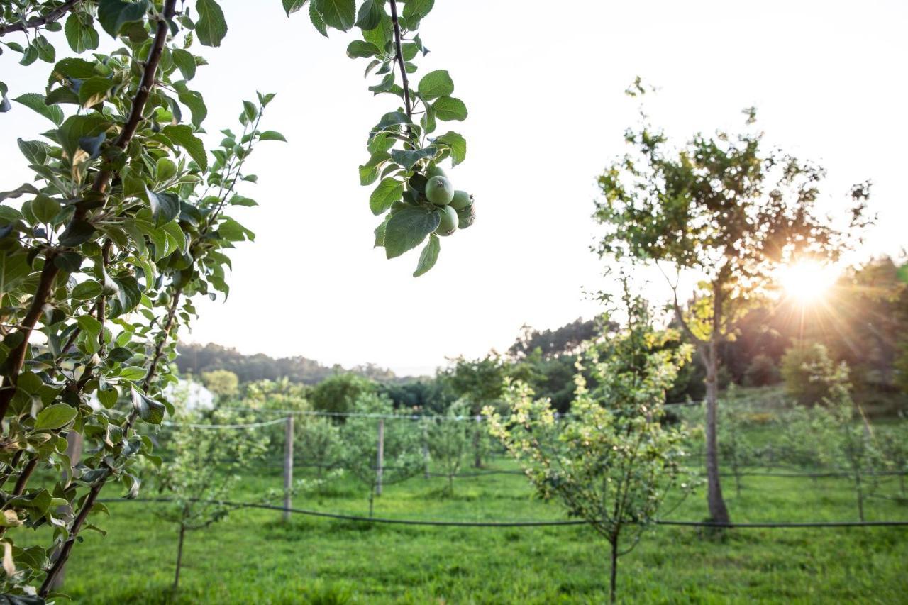 A Quinta Das Maceiras Os Casares Zewnętrze zdjęcie