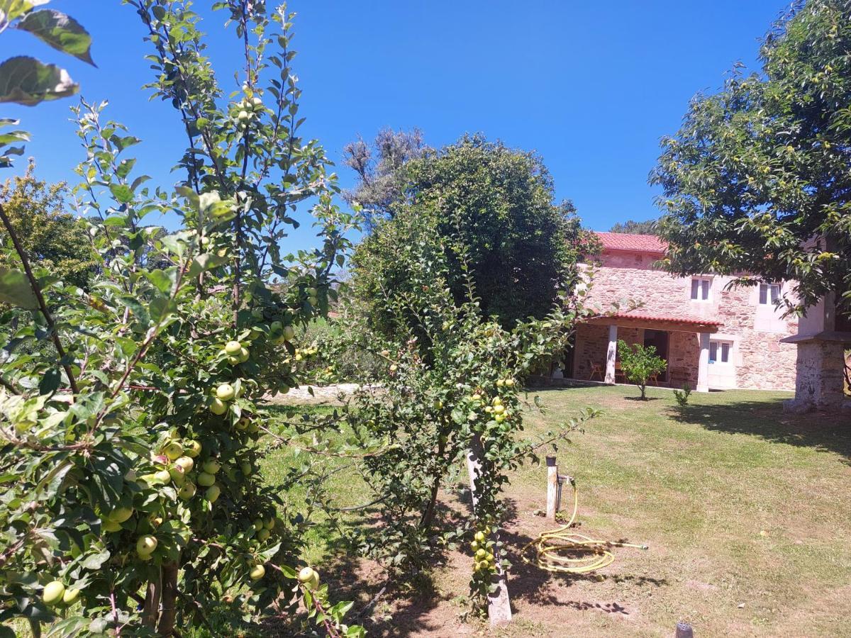 A Quinta Das Maceiras Os Casares Zewnętrze zdjęcie