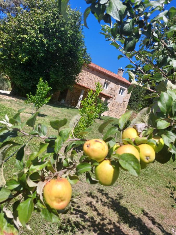 A Quinta Das Maceiras Os Casares Zewnętrze zdjęcie