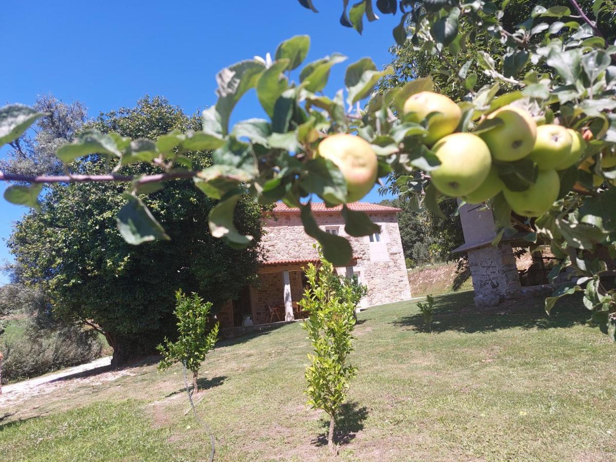 A Quinta Das Maceiras Os Casares Zewnętrze zdjęcie